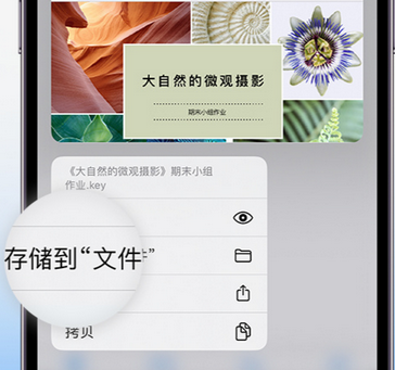 五龙口镇apple维修中心分享iPhone文件应用中存储和找到下载文件