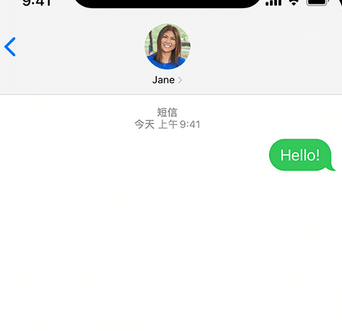 五龙口镇apple维修iPhone上无法正常发送iMessage信息