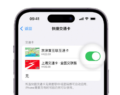 五龙口镇apple维修点分享iPhone上更换Apple Pay快捷交通卡手绘卡面 