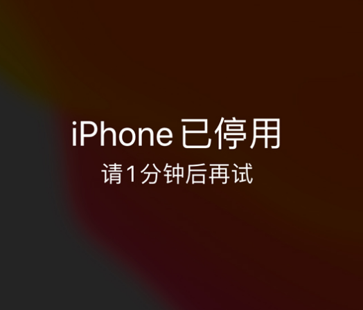 五龙口镇苹果手机维修分享:iPhone 显示“不可用”或“已停用”怎么办？还能保留数据吗？ 