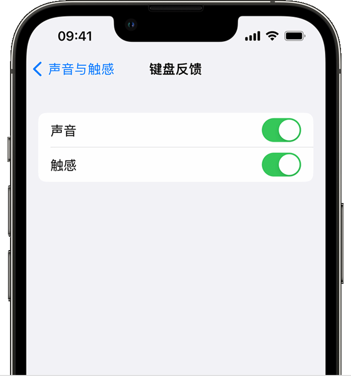 五龙口镇苹果14维修店分享如何在 iPhone 14 机型中使用触感键盘 