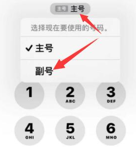 五龙口镇苹果14维修店分享iPhone 14 Pro Max使用副卡打电话的方法 