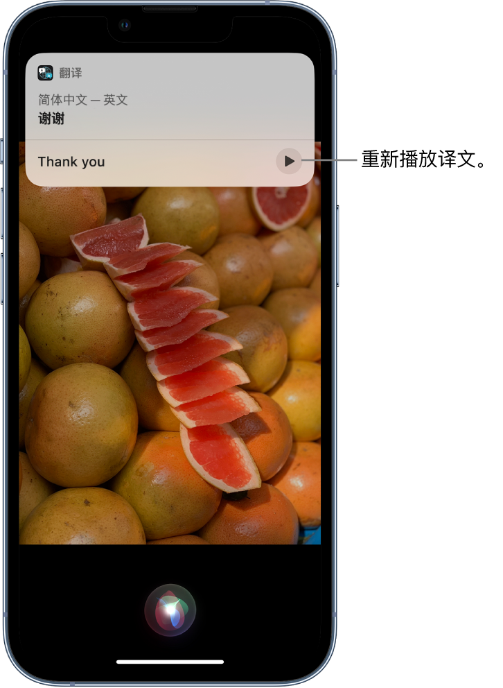 五龙口镇苹果14维修分享 iPhone 14 机型中使用 Siri：了解 Siri 能帮你做什么 