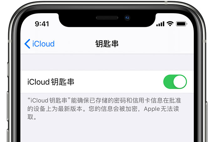 五龙口镇苹果手机维修分享在 iPhone 上开启 iCloud 钥匙串之后会储存哪些信息 