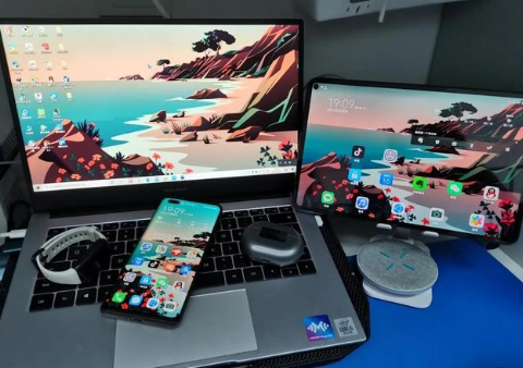 五龙口镇苹果手机维修分享为什么iPad屏幕更大价格却比iPhone低 