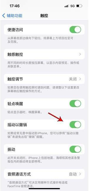 五龙口镇苹果手机维修分享iPhone手机如何设置摇一摇删除文字 