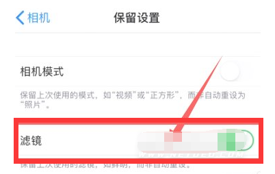 五龙口镇苹果13维修分享iPhone13拍照有绿点是怎么回事 