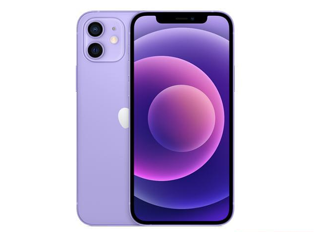 五龙口镇苹果手机维修分享现阶段要不要入手紫色版iPhone12 
