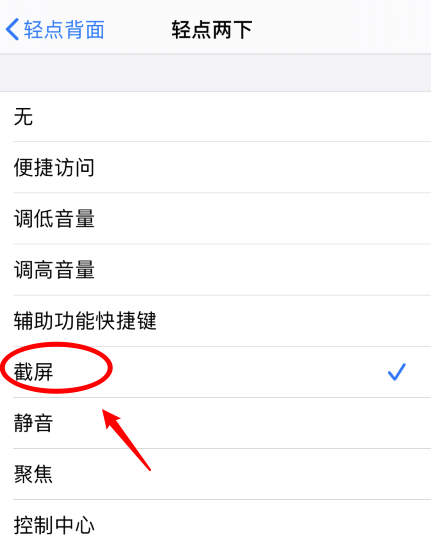 五龙口镇苹果手机维修分享iPhone12如何启用双击截屏 